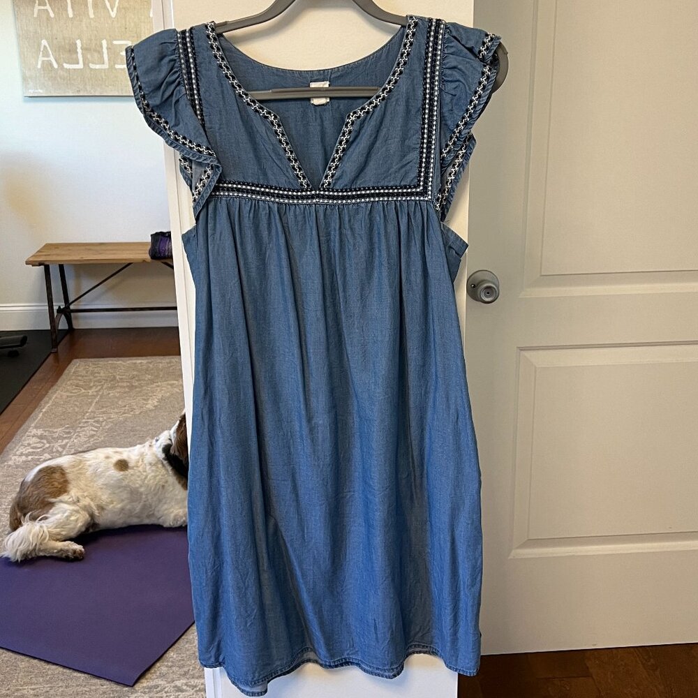 Gap Tencel Embroidered Flutter Dress